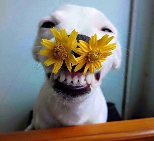 Изображение Школа массажа