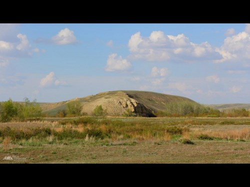 Для Институт степи, РАН, Уральское отделение