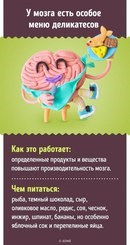 Изображение Интеллект, школа развития