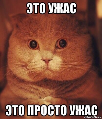 Фото Интеллект