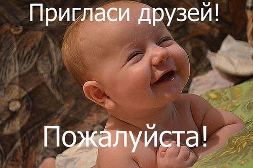 Для КОТ УЧЕНЫЙ Оренбург