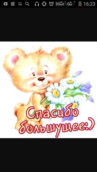 Люкс сеть автошкол