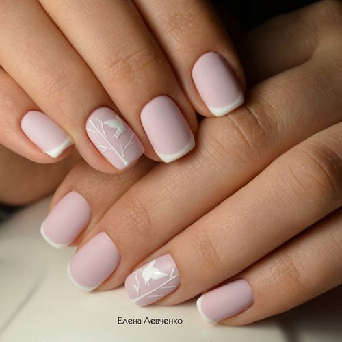 Изображение Nail Expert