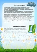 Фото Непоседы