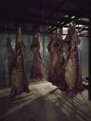 Новотроицкий мясокомбинат Оренбург