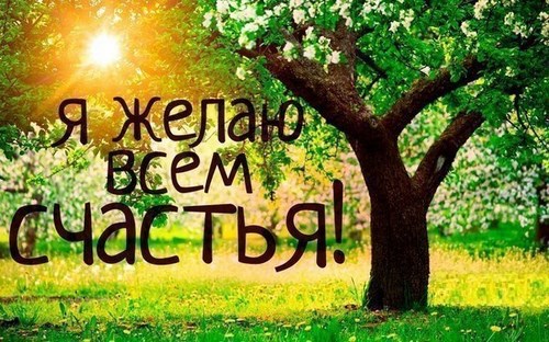 Картинка Шафран, салон красоты