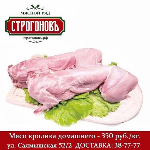 Новость СТРОГОНОВЪ Оренбург