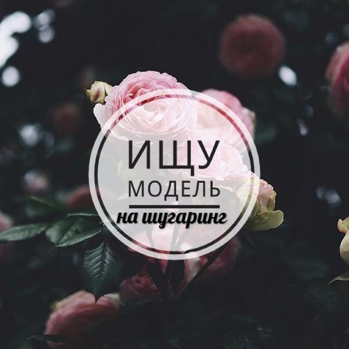 Новость Studio Epil