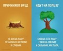 Новость Светлячок студия